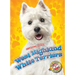 West Highland White Terriers