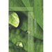 Nature Credits: A Global Climate Solutions Finance Explainer on Sustainable Finance, Biodiversity Markets, ESG Investing, Climate Adaptation, and Natu