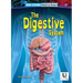 The Digestive System