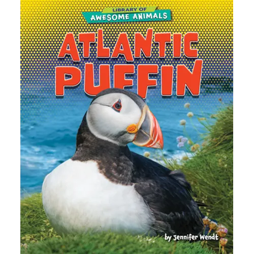 Atlantic Puffin