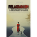 Pelagianism: A Beginner's Guide: Exploring the Legacy of Pelagius