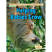 Helping Babies Grow