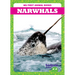 Narwhals