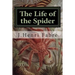 The Life of the Spider