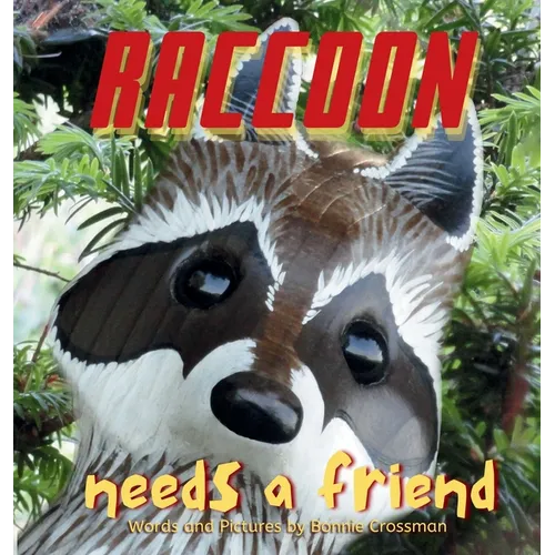 Raccoon Needs a Friend: A unique and beautiful children's picture book about friendship and being brave when you are shy