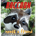Raccoon Needs a Friend: A unique and beautiful children's picture book about friendship and being brave when you are shy