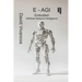 E-AGI Embodied Artificial General Intelligence: The Artificiology Journey.