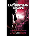 The Labyrinthian Escape