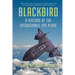 Blackbird