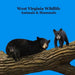 West Virginia Animals and Mammals Kids Wildlife Book: Great Wildlife Book about Animals and Mammals in West Virginia