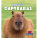 Capybaras