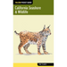 California Seashore & Wildlife