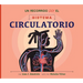 Un Recorrido Por El Sistema Circulatorio: Spanish Edition
