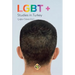 LGBT+ Studies in Turkey