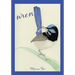Wren
