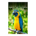 Come Fly The 7 Continents With Birds Around The World - Curious Kids Press: Kids book about animals and wildlife, Children's books 4-6