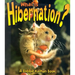What is Hibernation?