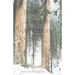 Poems for a Winter Afternoon
