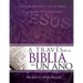A Través de la Biblia En Un Año: Una Introducción a Los 66 Libros de la Biblia En 52 Lecciones