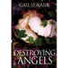 Destroying Angels: A Leigh Girard Mystery