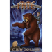 Fate: A kids Viking Adventure