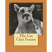 The Cat Chat Forum