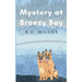 Mystery at Breezy Bay