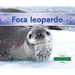 Foca Leopardo (Leopard Seal)