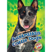 Australian Cattle Dogs