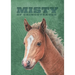 Misty of Chincoteague: Special Edition