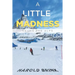 A Little Madness: Skiing the Alps