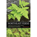 Northeast Ferns: A Field Guide to the Ferns and Fern Relatives of the Northeastern United States