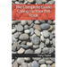 The Complete Guide Caring for Your Pet Rock