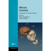 African Genesis: Perspectives on Hominin Evolution
