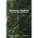 Ferntree Hollow: A Campaign Setting for Mausritter
