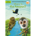 Where Is the Amazon?