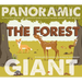 The Forest: A Poster Book to Understand Everything about the World