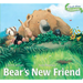 Bear's New Friend