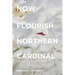 Now Flourish Northern Cardinal