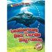 Leatherback Sea Turtle Migration