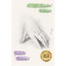 A Left-Handed Woman: Essays