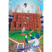 The Big Leagues