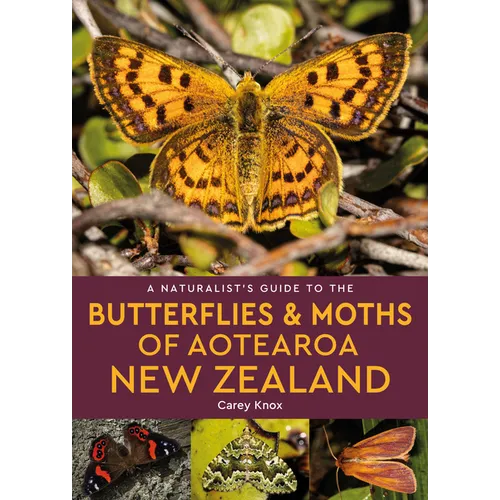 A Naturalist's Guide to the Butterflies & Moths of Aotearoa New Zealand
