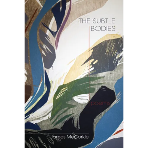 The Subtle Bodies