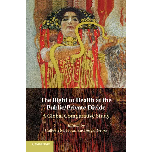 The Right to Health at the Public/Private Divide