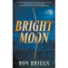 Bright Moon: A Norse Warrior Exploration Series
