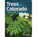 Trees of Colorado Field Guide
