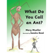What Do You Call an Ant?
