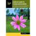 Complete Guide to Florida Wildflowers