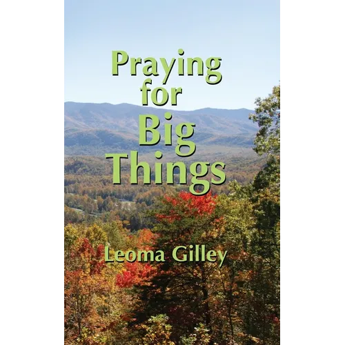 Praying for Big Things: Using God's Word to guide in Praying for the BIG issues in our world